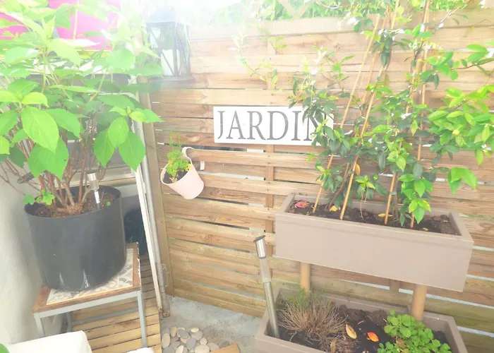 Les Cocons De Stephanie Apartment