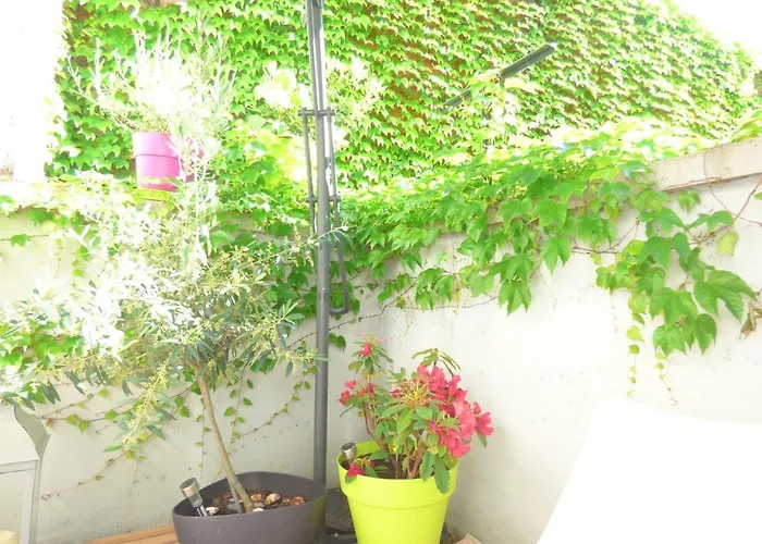 Les Cocons De Stephanie Vichy