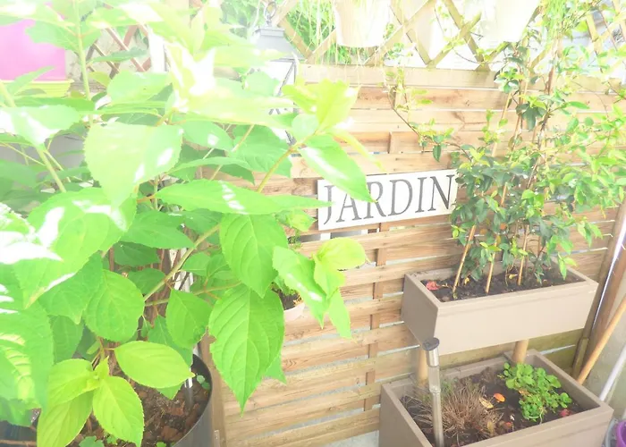 Apartment Les Cocons De Stephanie *