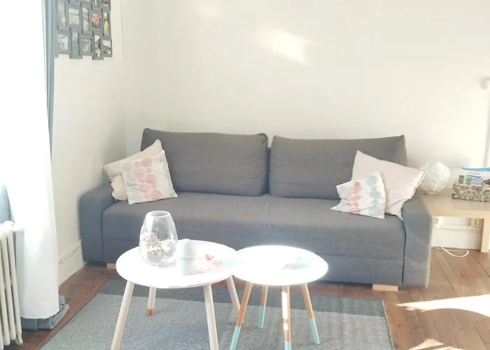 Les Cocons De Stephanie Apartment Vichy